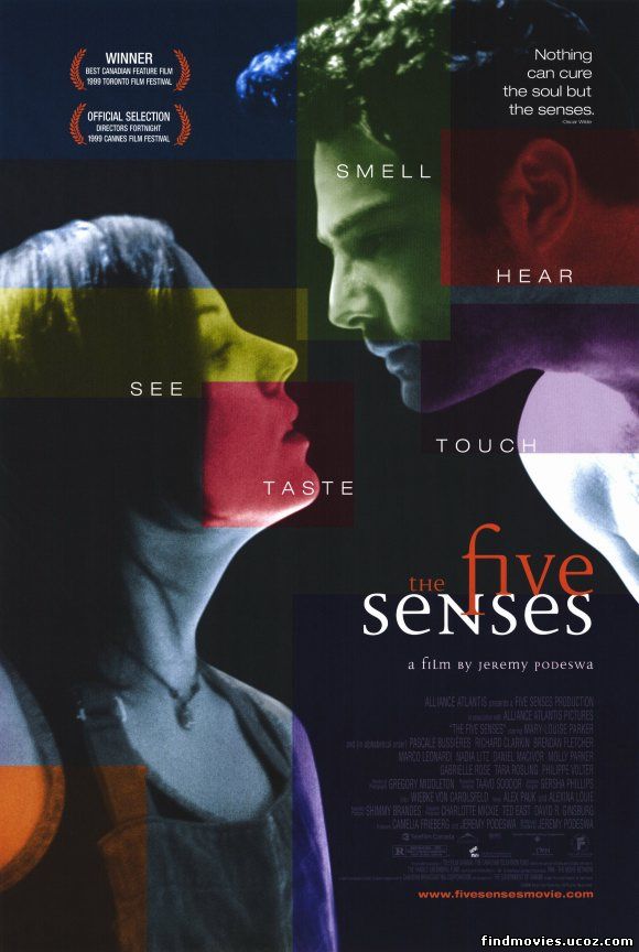 ხუთი გრძნობა / Five Senses