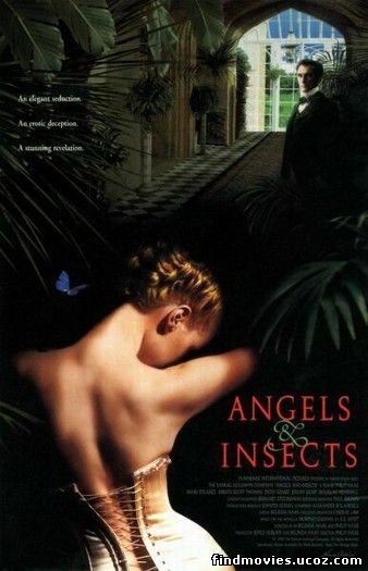 ანგელოზები და მწერები / Angels and Insects